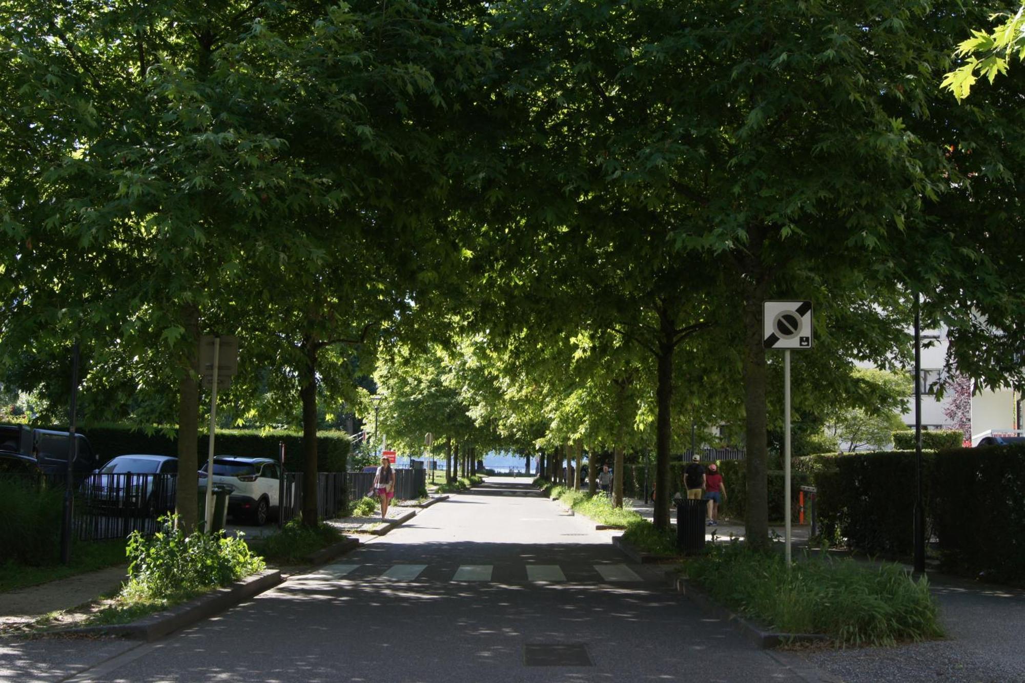Studio Albigny A 200 M Du Lac D'Annecy 아파트 외부 사진